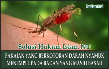 Pakaian Yang Terkena Darah Nyamuk
