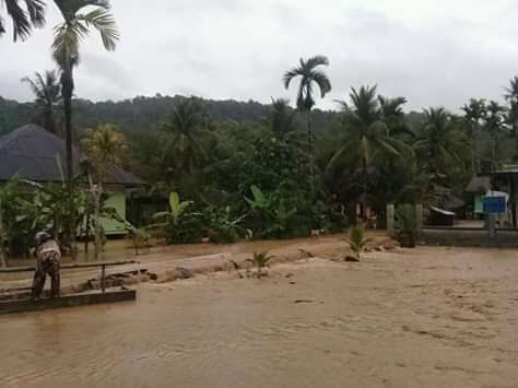 Selain Rumah, 1 Hektar Sawah di Tangse Ikut Terendam Banjir