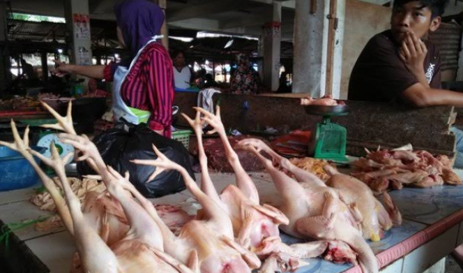 Sumber PIHPS, Awal Pekan Harga Daging dan Telur Kompak Naik