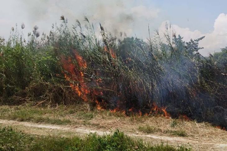 Kebakaran Lahan Mulai Terjadi di Lhokseumawe