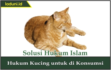 Hukum Kucing untuk Dikonsumsi