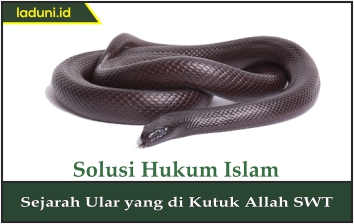 Sejarah Ular yang Dikutuk Allah SWT