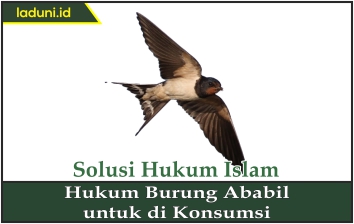 Hukum Burung Ababil untuk Dikonsumsi