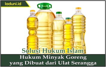 Hukum Minyak Goreng dari Ulat Serangga