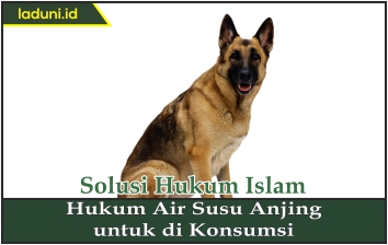 Hukum Air Susu Anjing untuk Dikonsumsi