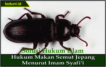 Hukum Makan Semut Jepang