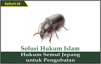 Hukum Semut Jepang untuk Pengobatan