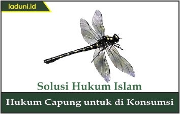 Hukum Capung untuk Dikonsumsi