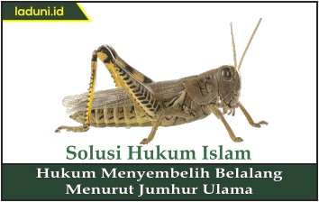 Hukum Menyembelih Belalang Menurut Jumhur Ulama