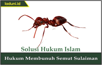 Hukum Membunuh Semut Sulaiman