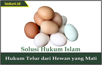 Hukum Telur dari Hewan yang Mati