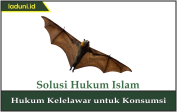 Hukum Kelelawar untuk Konsumsi