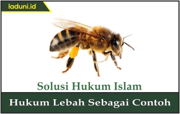 Hukum Lebah Sebagai Contoh