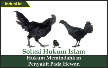 Hukum Memindahkan Penyakit pada Hewan