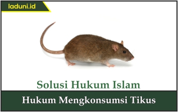 Hukum Mengkonsumsi Tikus