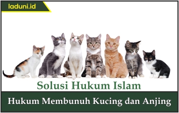 Hukum Membunuh Kucing dan Anjing