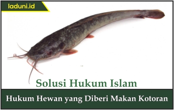 Hukum Hewan yang Diberi Makan Kotoran