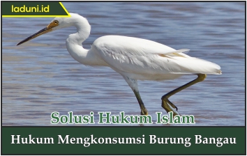 Hukum Mengkonsumsi Burung Bangau