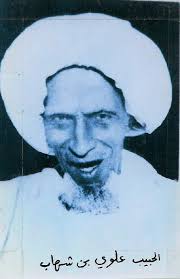 Biografi Habib Alwi bin Syihab