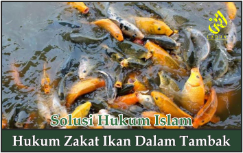 Hukum Zakat Ikan dalam Tambak