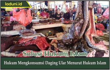 Hukum Mengkonsumsi Daging Ular Menurut Hukum Islam