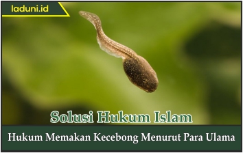 Hukum Memakan Kecebong Menurut Para Ulama