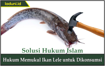 Hukum Memukul Ikan Lele untuk Dikonsumsi