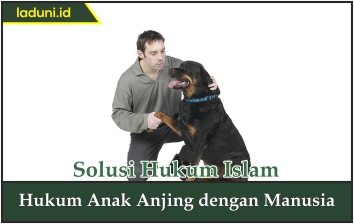 Hukum Anak Anjing dengan Manusia