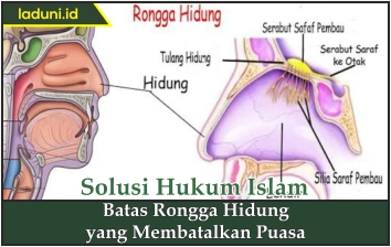 Batas Rongga Hidung yang Membatalkan Puasa