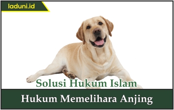 Hukum Memelihara Anjing