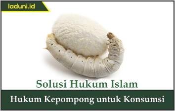 Hukum Kepompong untuk Konsumsi