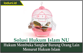 Hukum Membuka Sangkar Burung Orang Lain Menurut Hukum Islam
