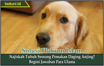 Najiskah Tubuh Seorang Pemakan Daging Anjing?