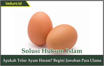Apakah Telur Ayam Haram?