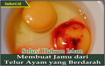 Membuat Jamu dari Telur Ayam yang Berdarah