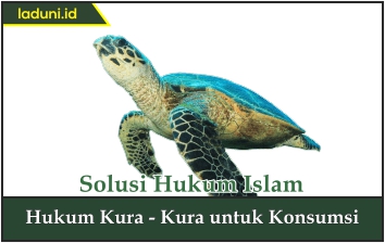 Hukum Kura-Kura untuk Konsumsi