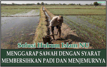 Penjelasan tentang Hak dan Kewajiban pada suatu Lingkup Pekerjaan dengan Contoh Penggarap Sawah