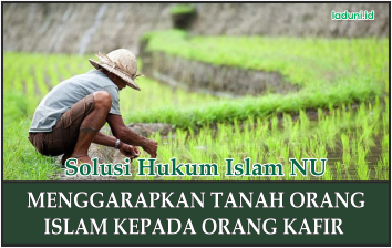 Hukum Zakat pada Tanah yang Digarapkan ke Orang Kafir