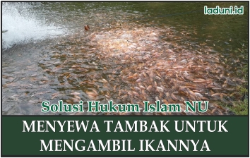 Hukum Menyewa Kolam Ikan untuk Memancing Ikannya