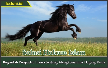 Beginilah Pendapat Ulama tentang Mengkonsumsi Daging Kuda