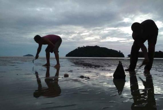 Nikmatnya Berburu Ikan Kapah di Pantai Pulau Datok Sukadana