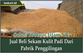 Jual Beli Sekam Kulit Padi dari Pabrik Penggilingan