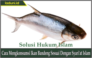 Cara Mengkonsumsi Ikan Bandeng Sesuai dengan Syari'at Islam