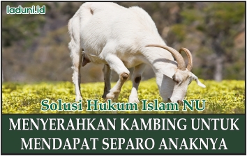 Bagi Hasil dari Pemeliharaan Kambing