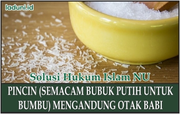 Penyedap Rasa yang Mengandung Otak Babi