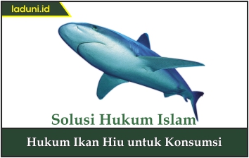 Hukum Ikan Hiu untuk Konsumsi