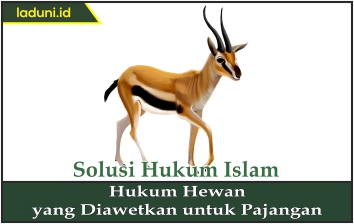 Hukum Hewan yang Diawetkan untuk Pajangan