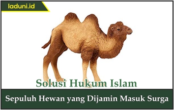 Sepuluh Hewan yang Dijamin Masuk Surga