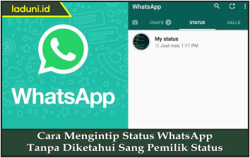 Cara Mengintip Status WhatsApp Tanpa Diketahui Sang Pemilik Status