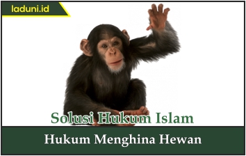 Hukum Menghina Hewan